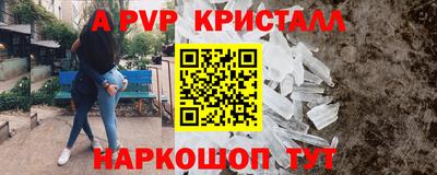 ECSTASY Камышлов