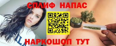 ECSTASY Камышлов