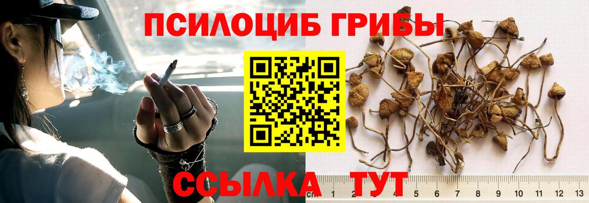 Галлюциногенные грибы мицелий Юрга