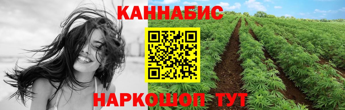 Шишки марихуана тримм  Вход с VPN  Юрга  Канабис LSD WEED  Конопля индика  МАРИХУАНА план 
